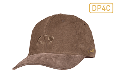 DP4C Cap 2025